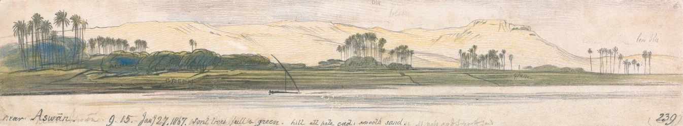 アスワンの近く